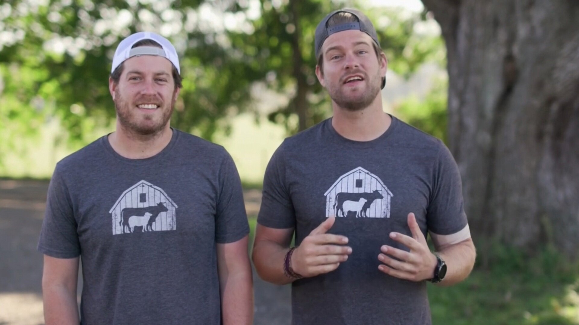 Santuário Animal : Por Trás das Câmeras