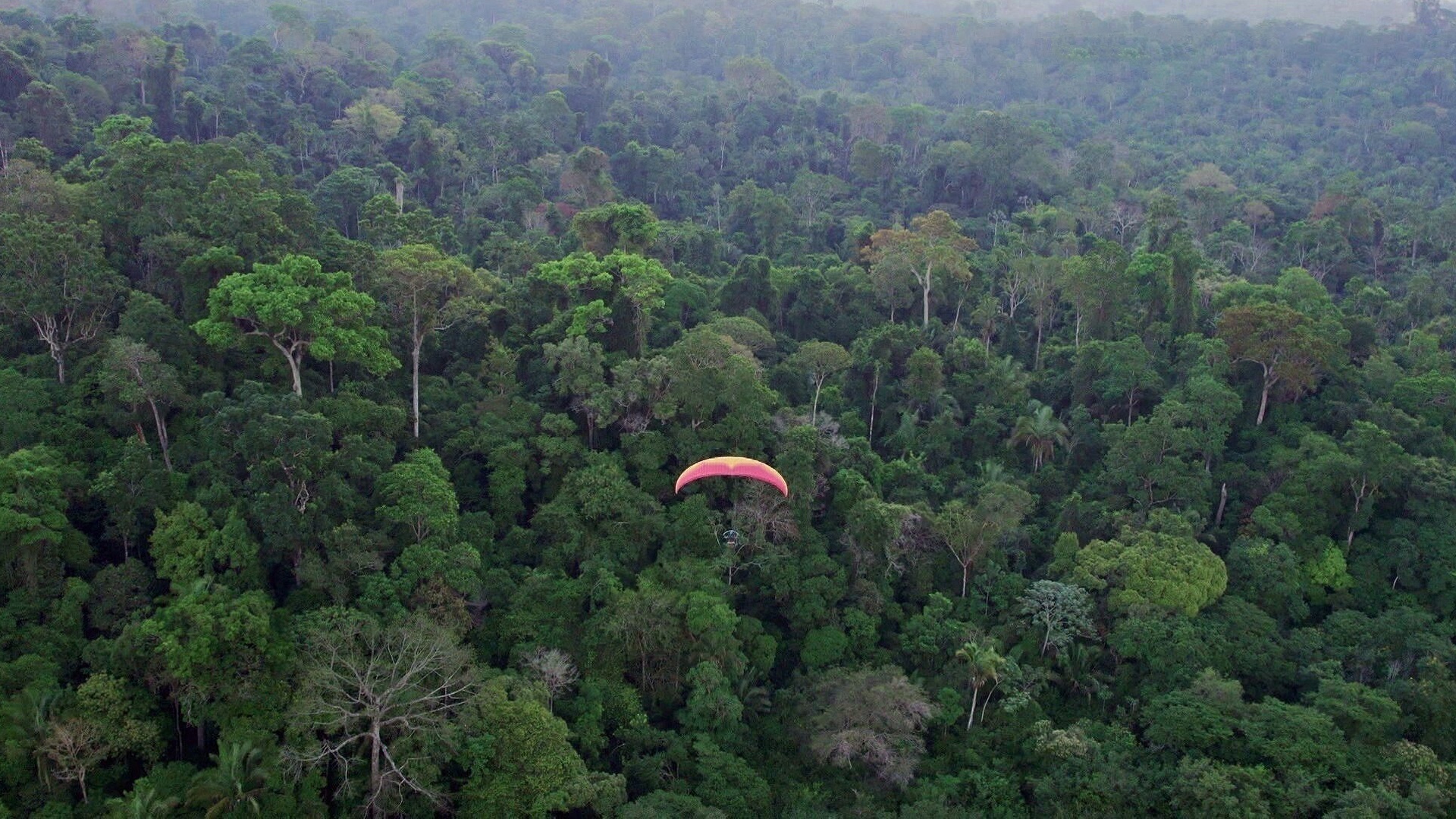 BR-230 - Muito Além da Transamazônica : Do Rio Xingu à Medicilândia -...