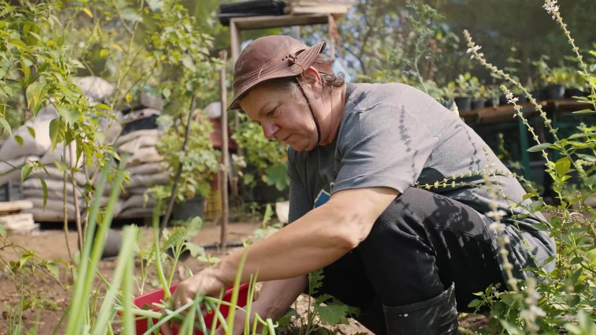 Mutirão Saúde : Valéria