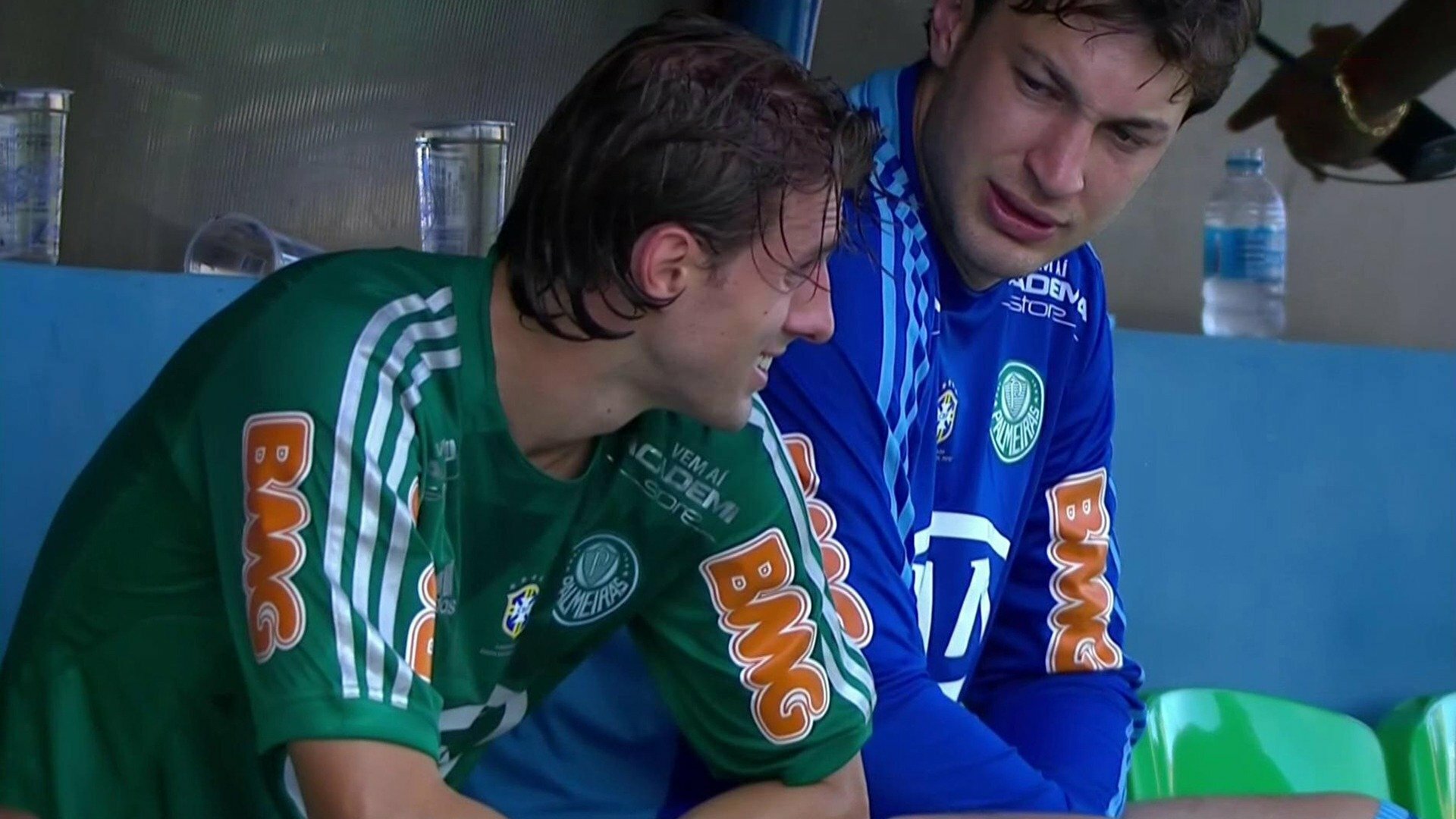 Campeonato Brasileiro : 2012: Palmeiras x Fluminense