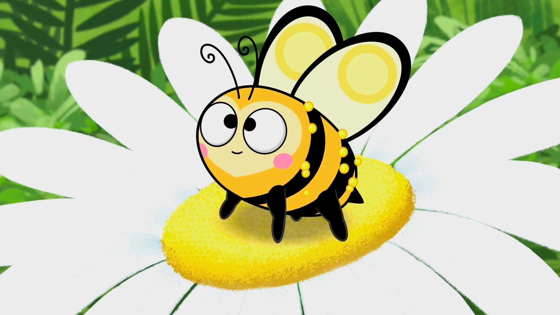 Bubu e as Corujinhas : Zum Zum Zum!