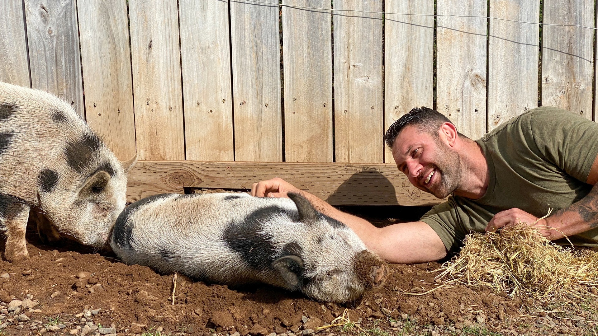 Minha Vida Animal : Sarge na Área