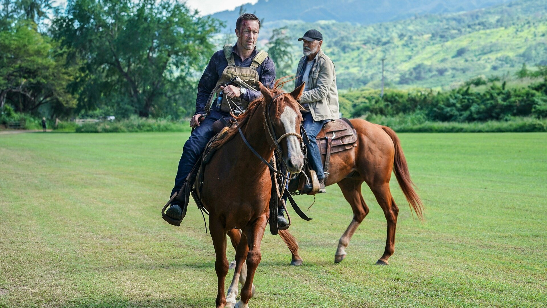 Hawaii Five-0 : When the Light Goes Out, the House Is Dark