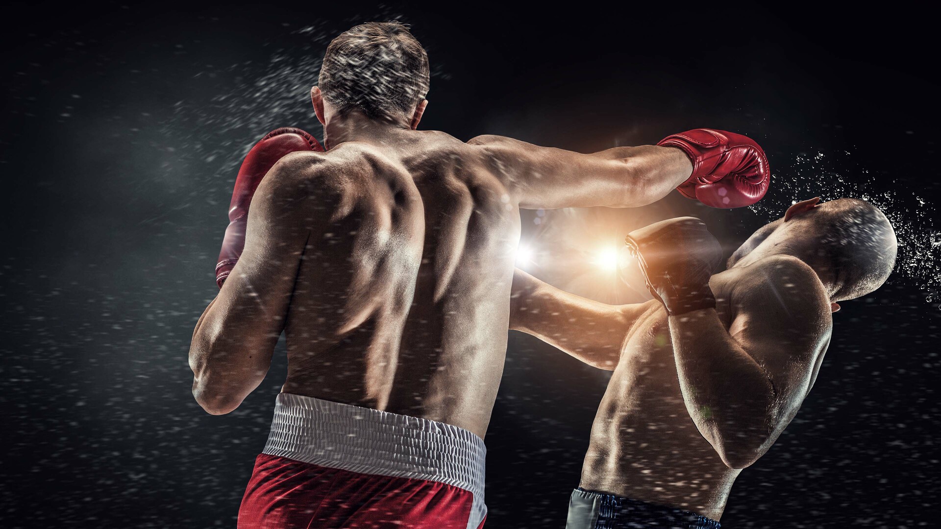 FMS Fight Night 4