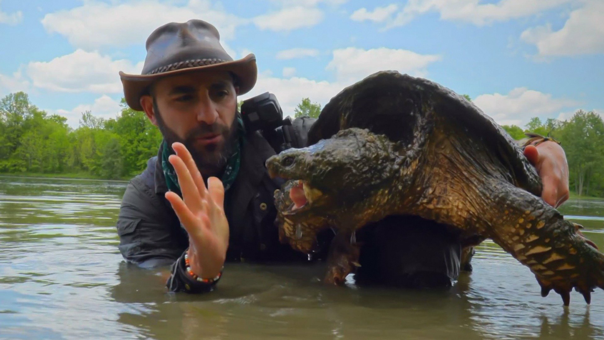Encontro Selvagem com Coyote Peterson : A Lendária Tartaruga do Texas