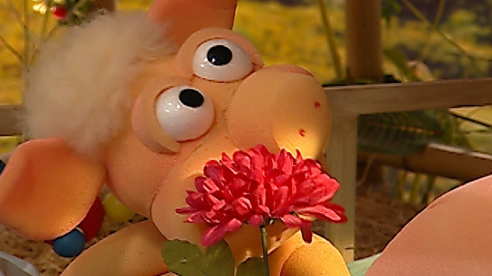 Cocoricó : Flores