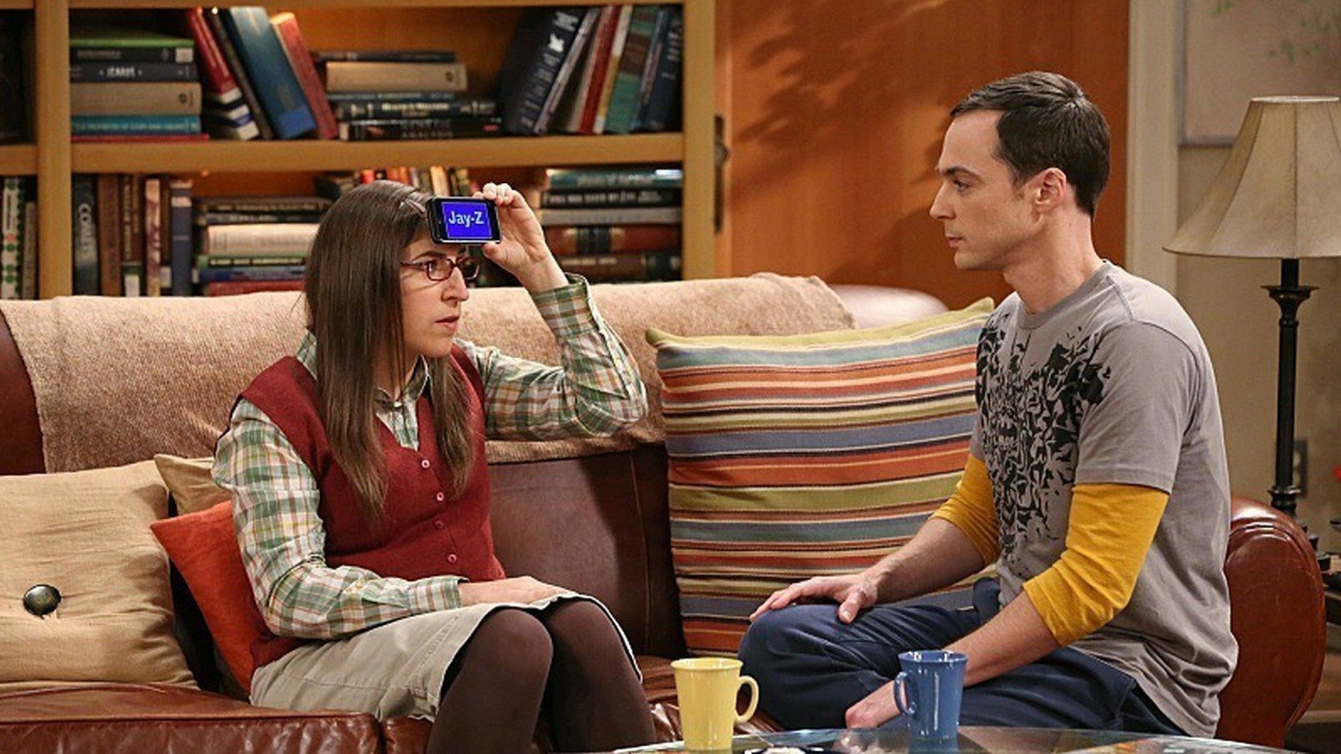 The Big Bang Theory : The Skywalker Incursion