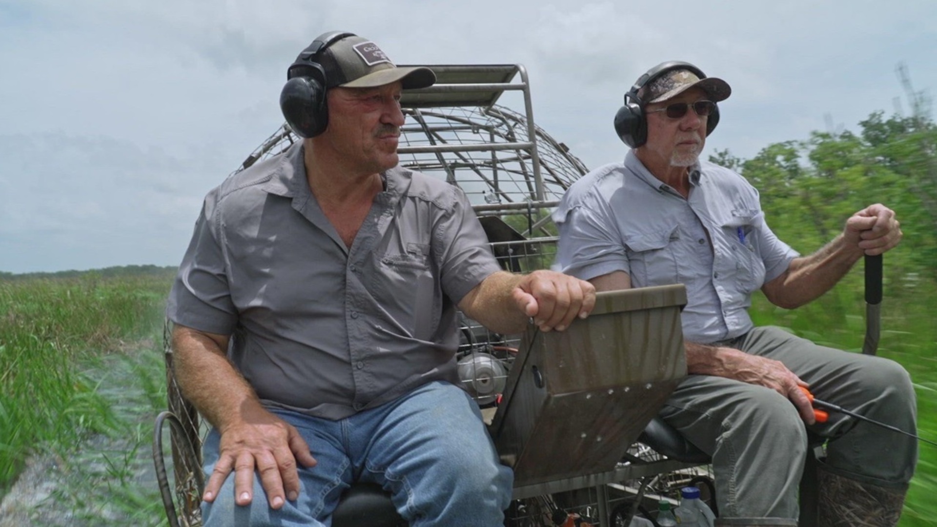 Mistérios do Pântano : Jacarés Desaparecidos
