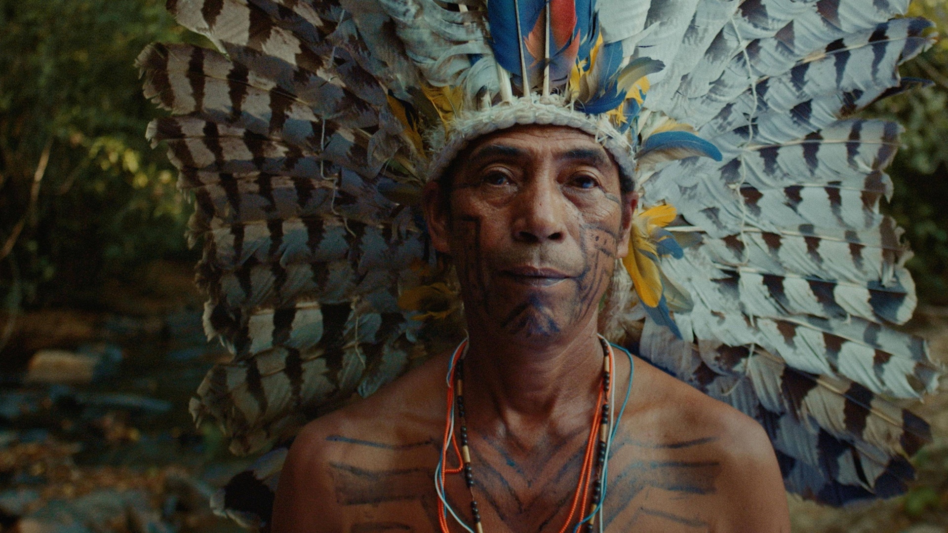 Línguas da Nossa Língua : T1 EP1 - Um Brasil de Muitas Línguas