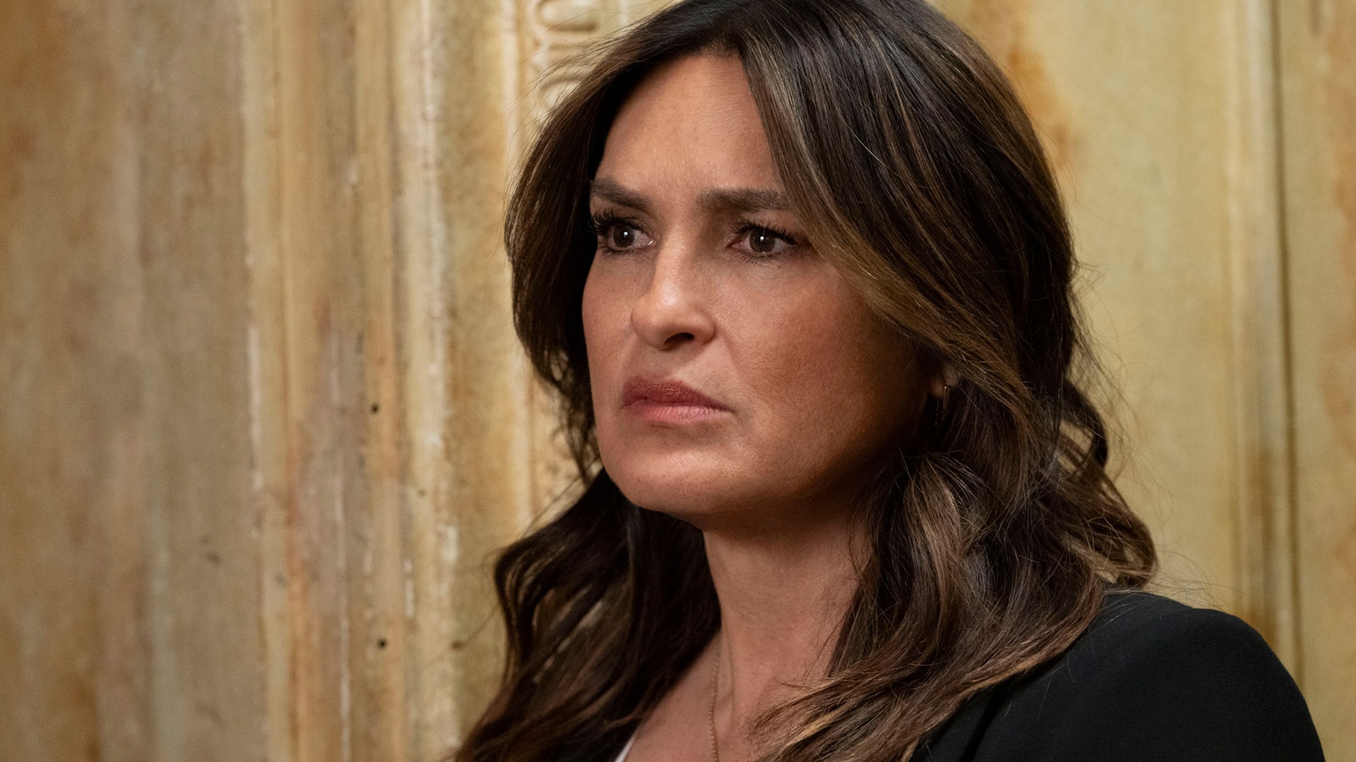 Law & Order: Special Victims Unit : Embargo da Verdade