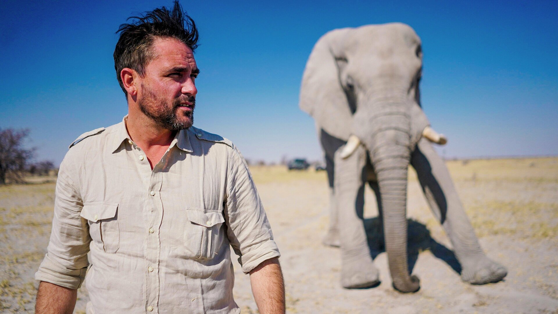Na Trilha dos Elefantes : Homem Versus Elefante