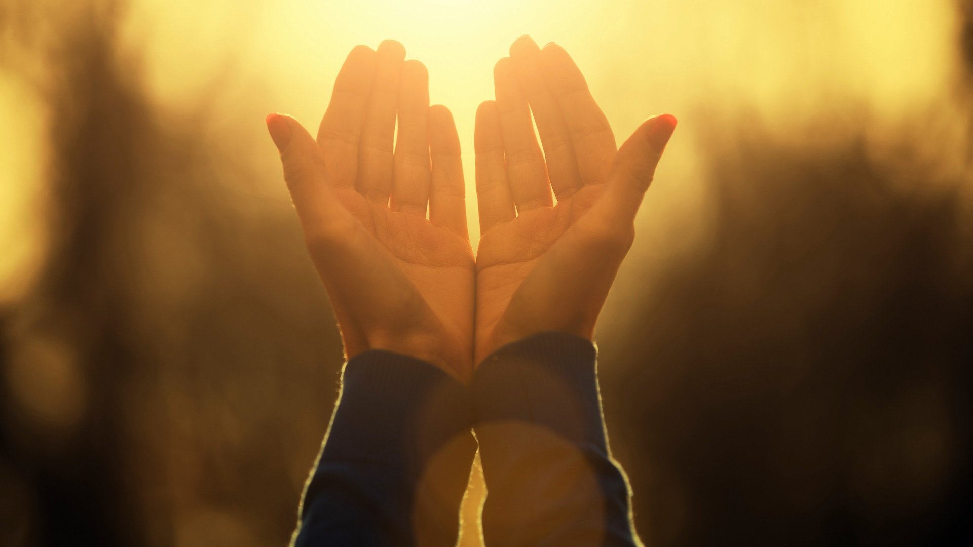 Momento Ecumênico de Elevação Espiritual