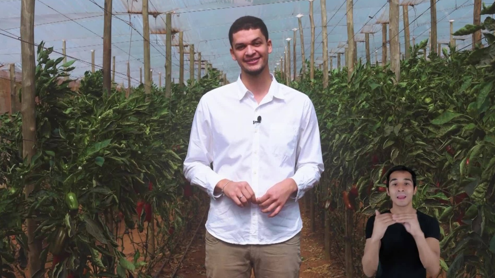 Caminhos - Quando Sonhos Encontram a Educação : O Filho Dentista