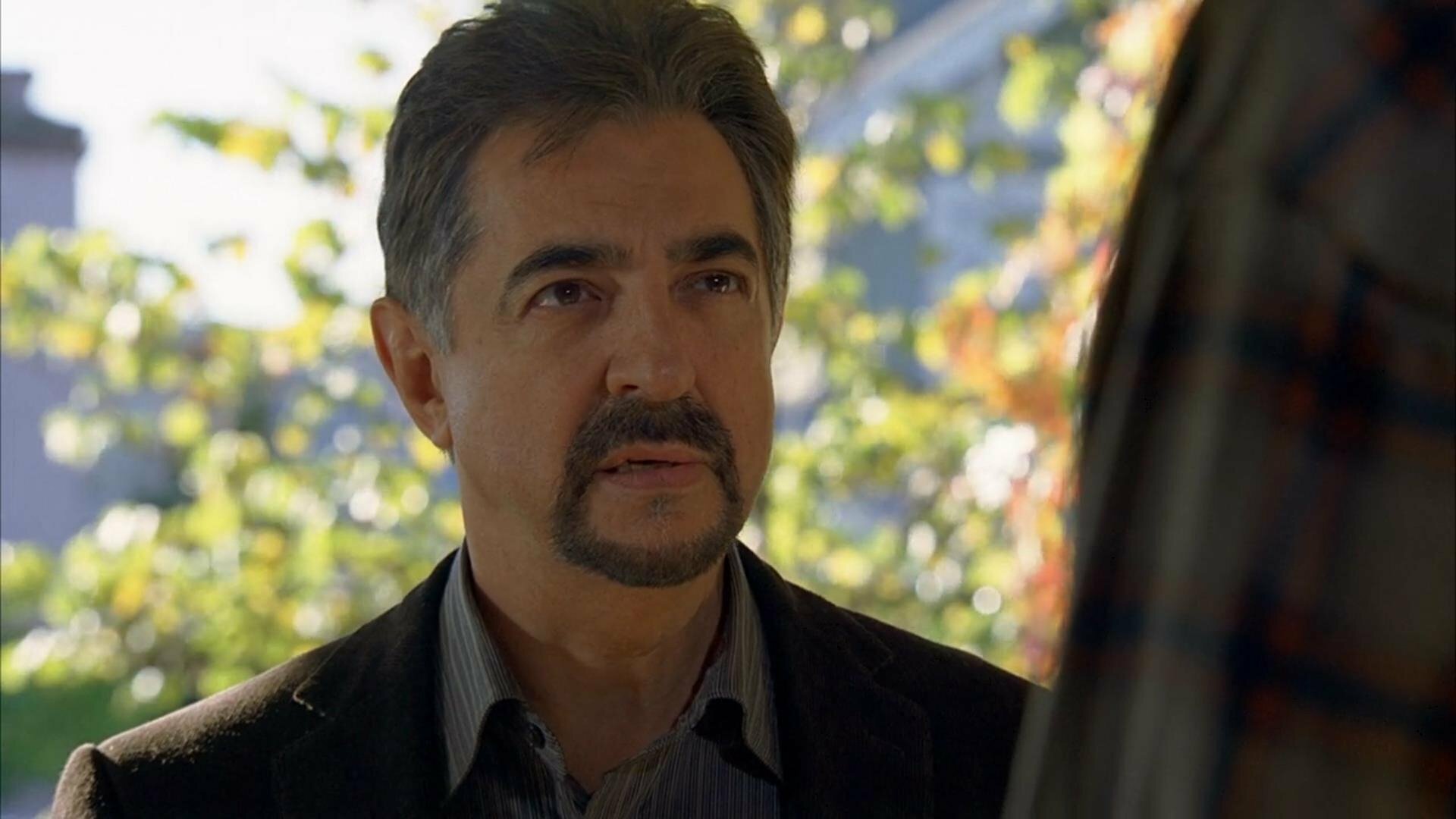 Criminal Minds : Limelight