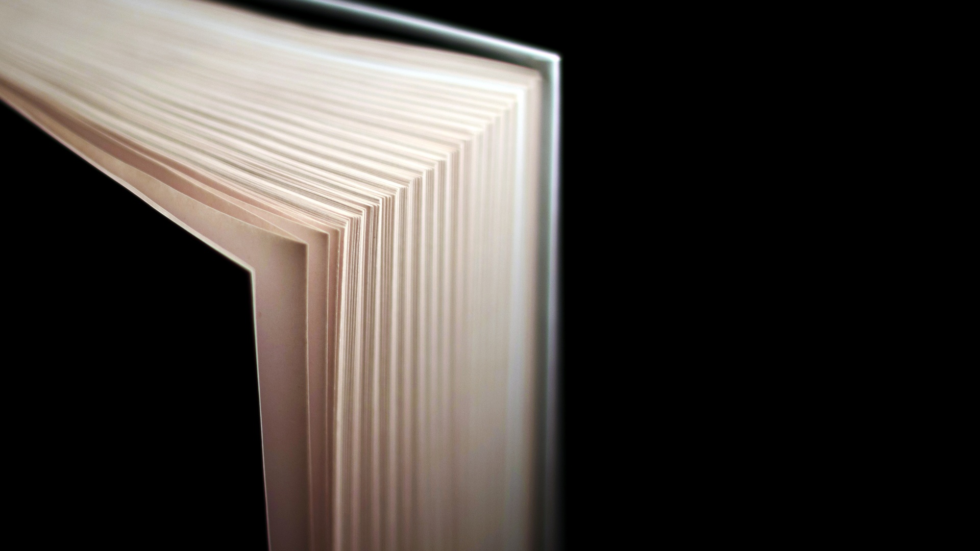 Biblioteca Labô : Freud e Einstein: Por que a...