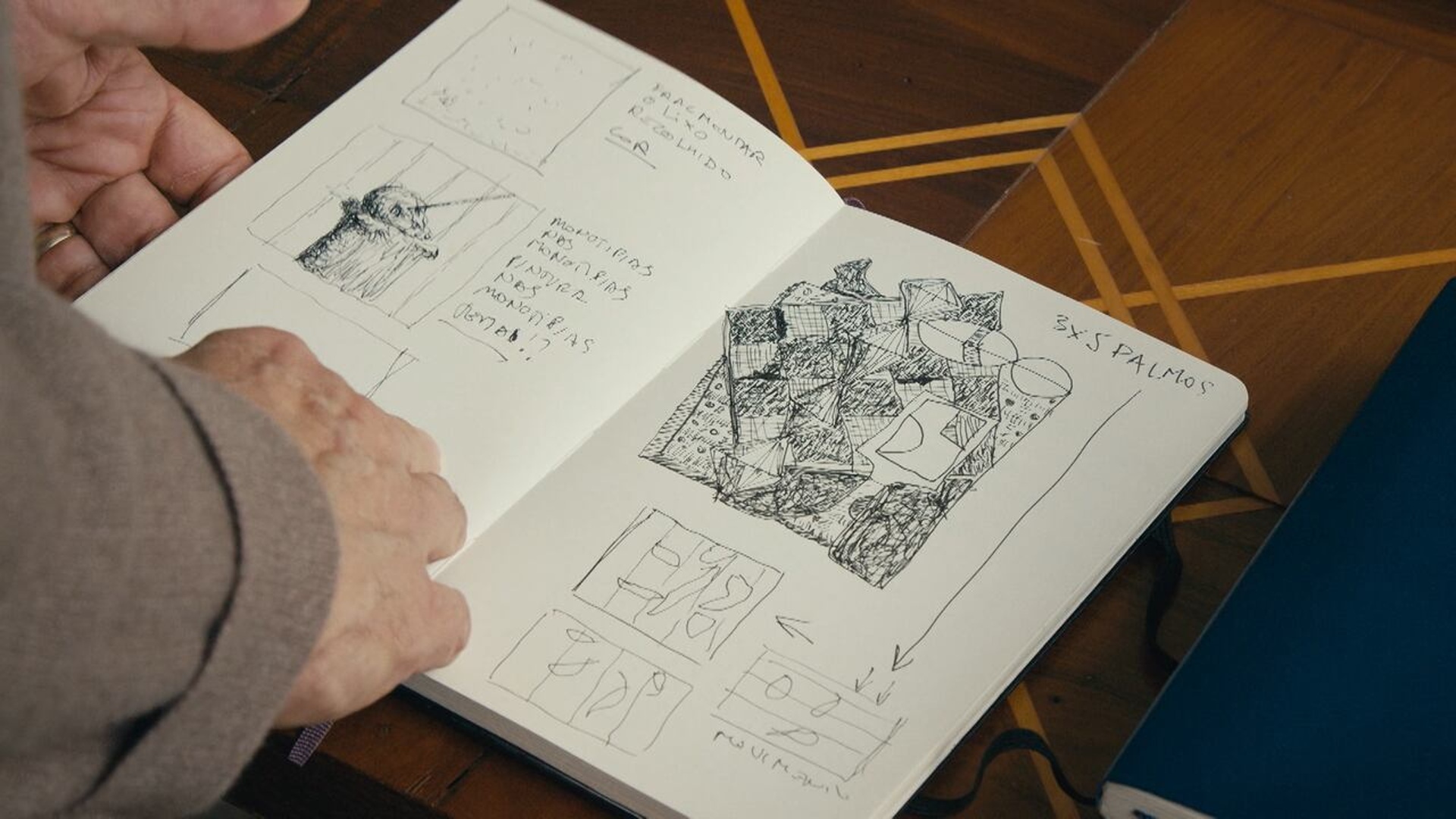 Um Olhar Estrangeiro da Arte Brasileira : Daniel Senise