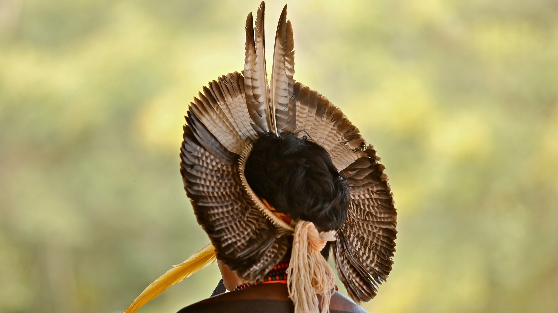 Territórios Indígenas : A'uté A'uwê Uptabi - Ser...