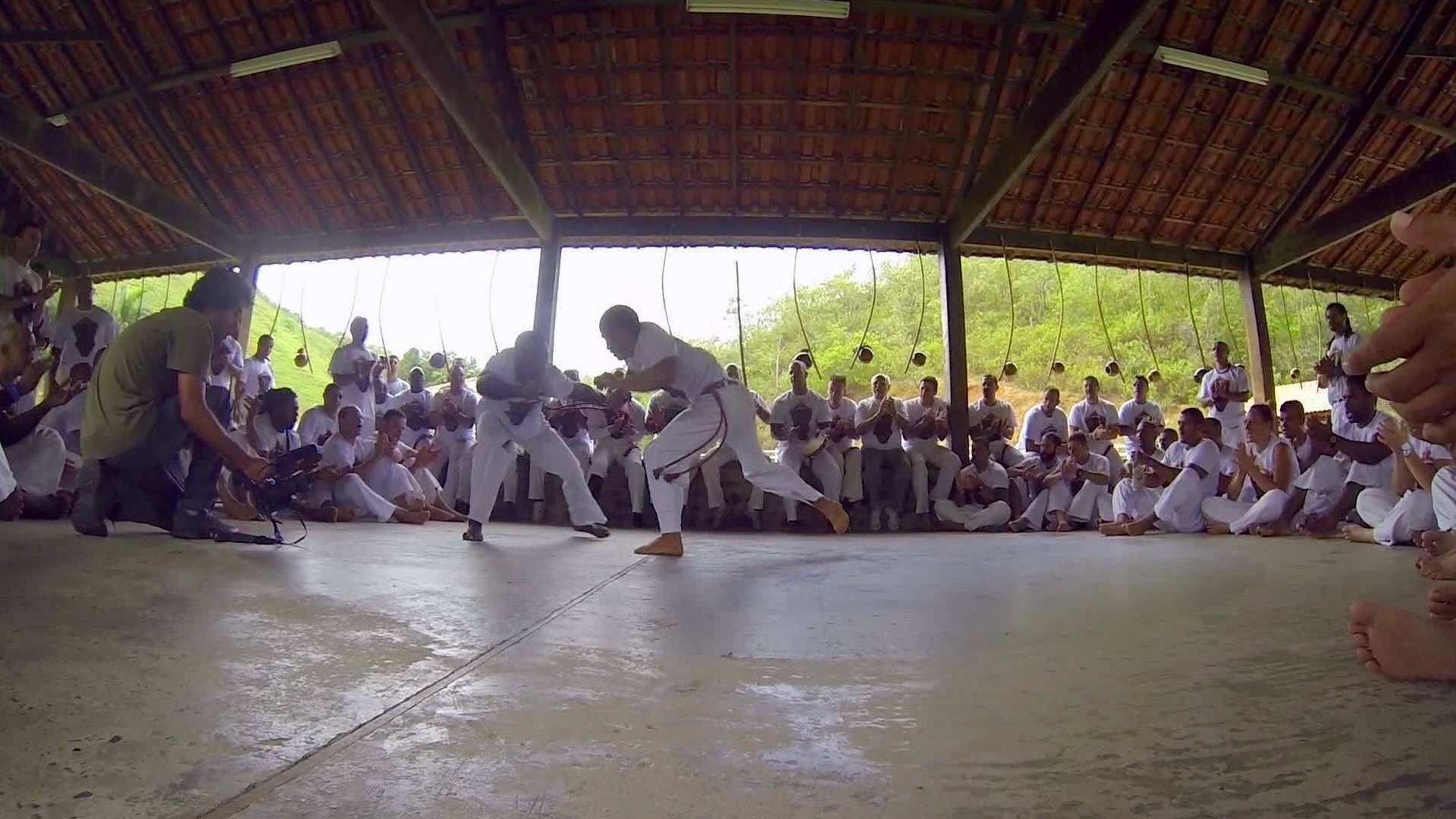 Expedições : Capoeira
