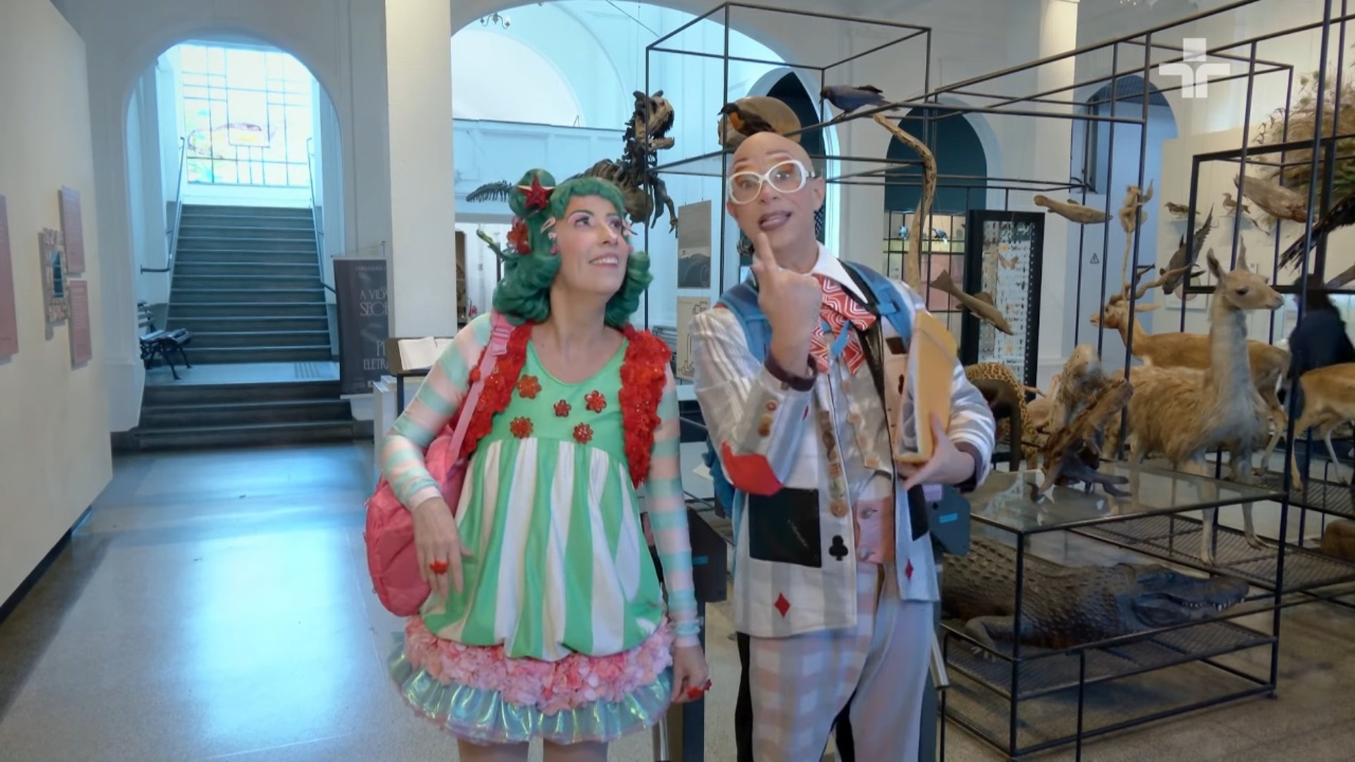 Quintal no Museu : Museu de Zoologia