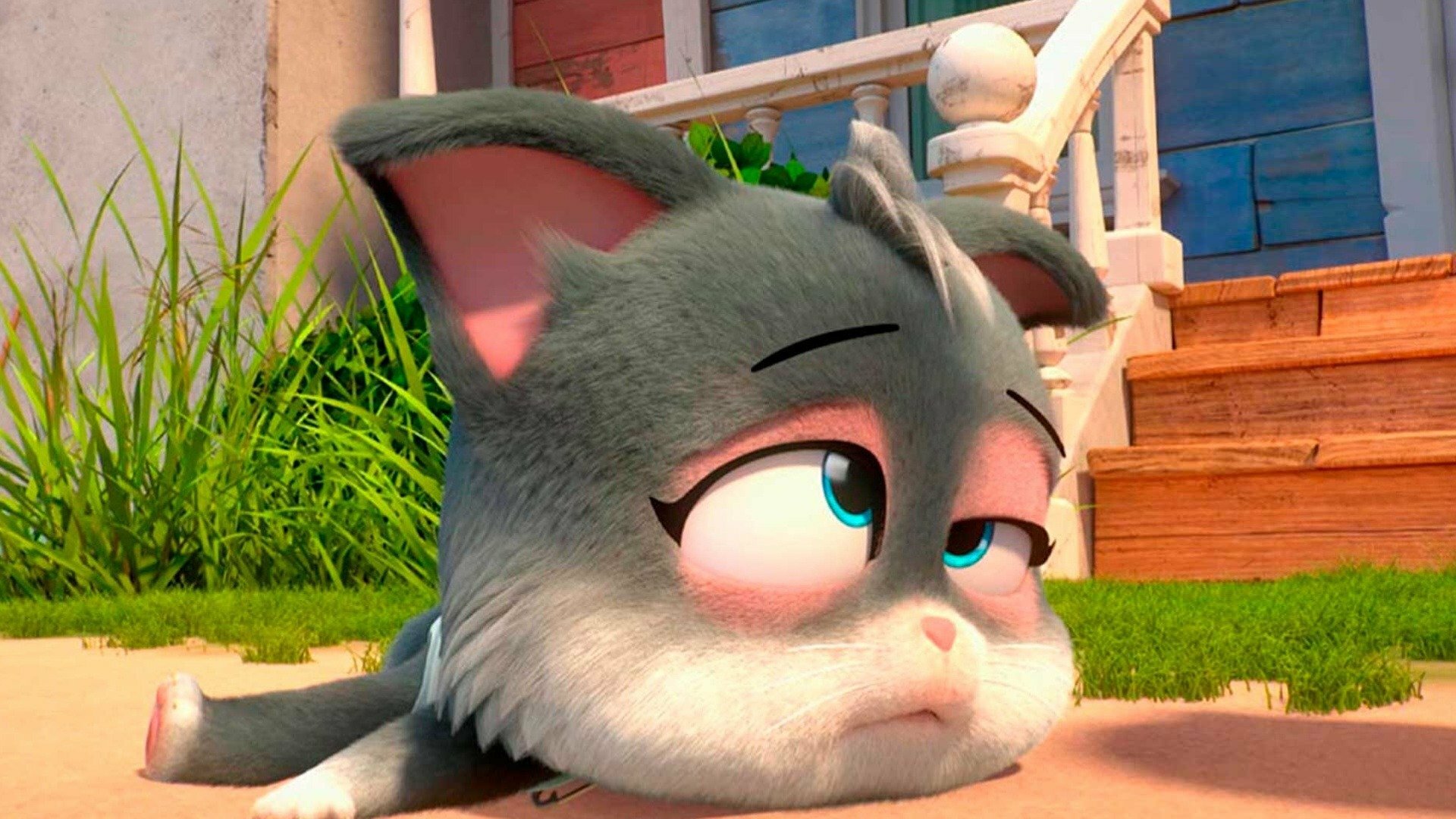 44 Gatos : O Novo Amigo de Pilou