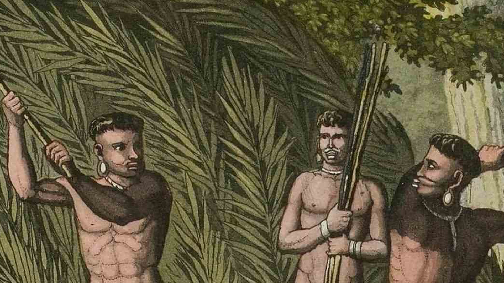 Histórias da Gente Brasileira : Colônia - Selvagem, Quem?
