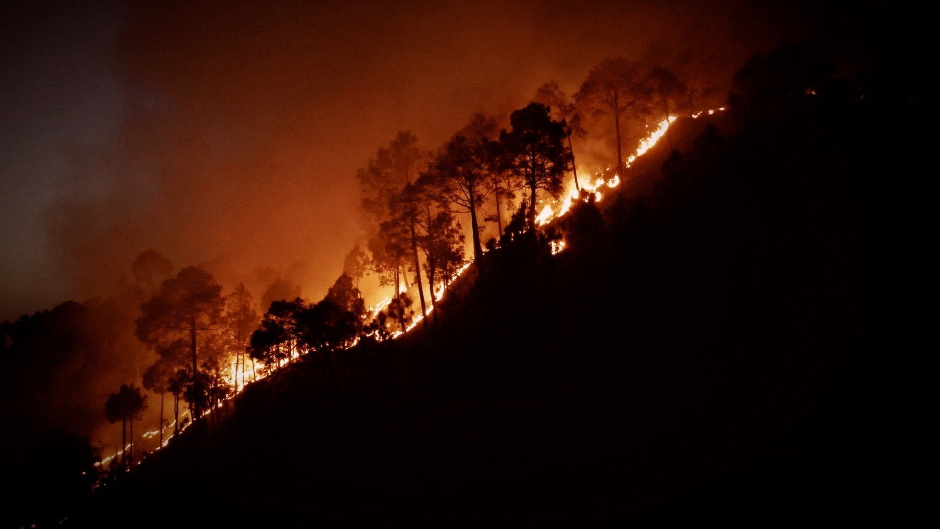 Inexplicável - Com William Shatner : Desastres Devastadores