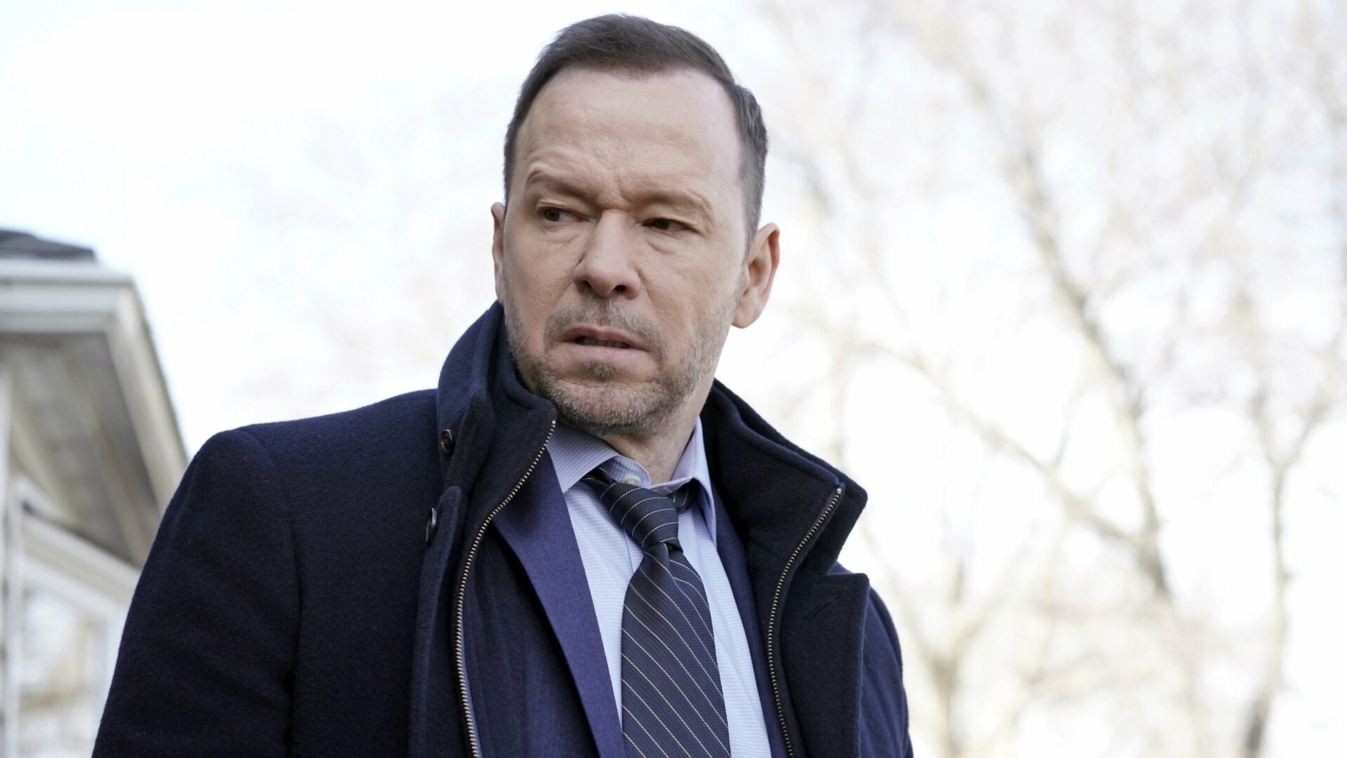 Blue Bloods : Azuis