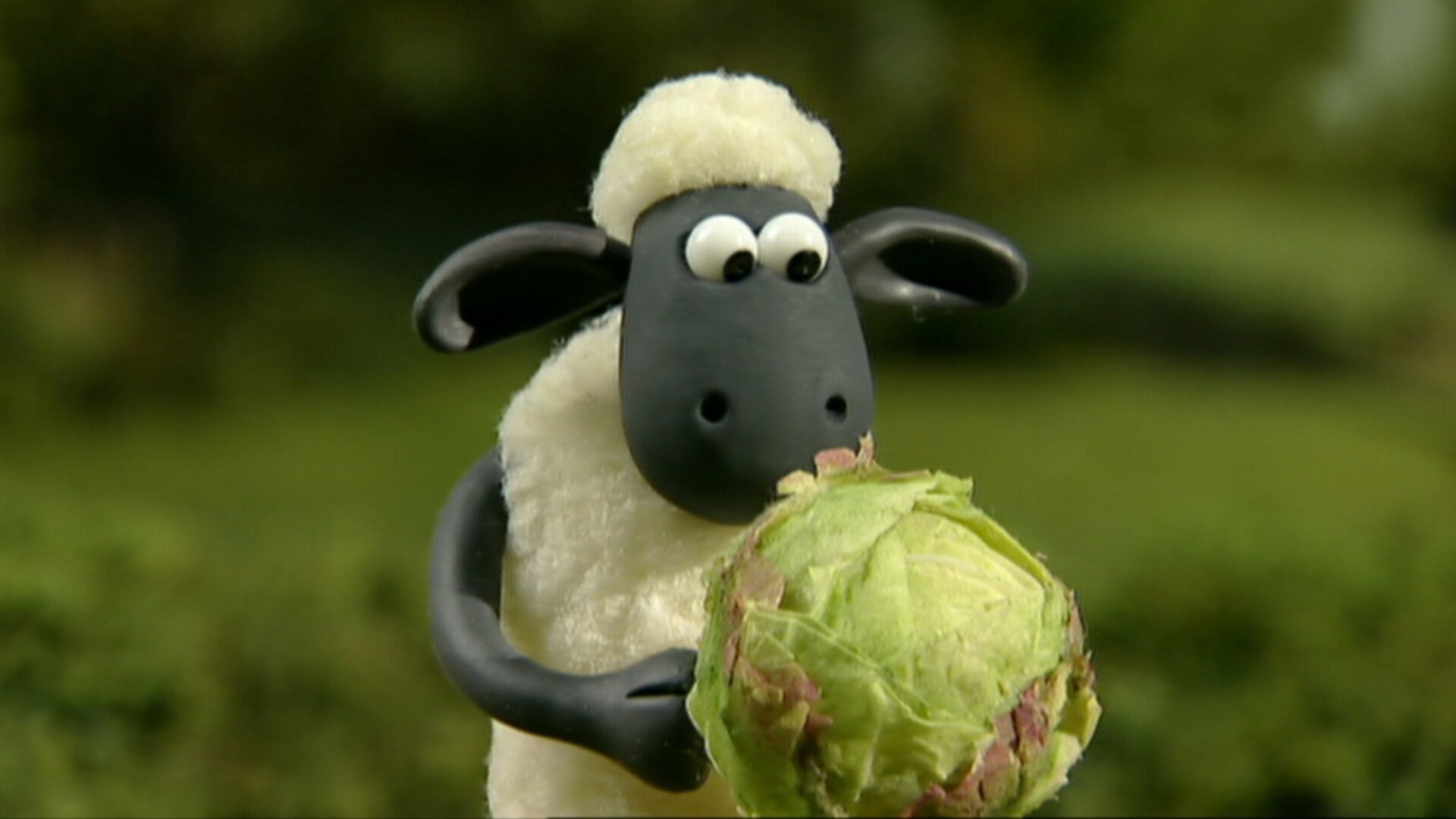 Shaun, o Carneiro : Futebol