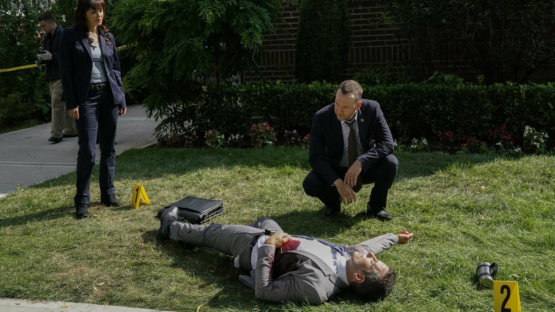 Blue Bloods : Acontecimento Repentino