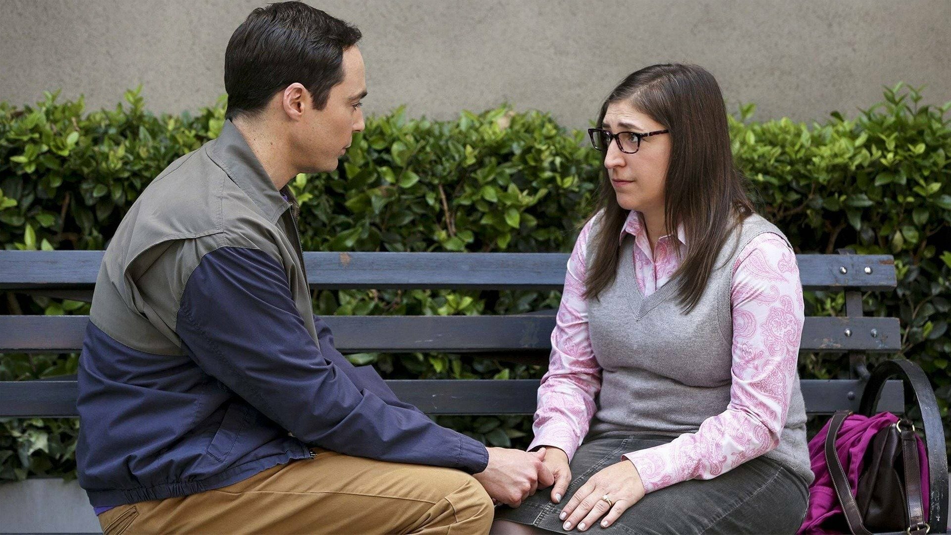 The Big Bang Theory : The Conjugal Configuration