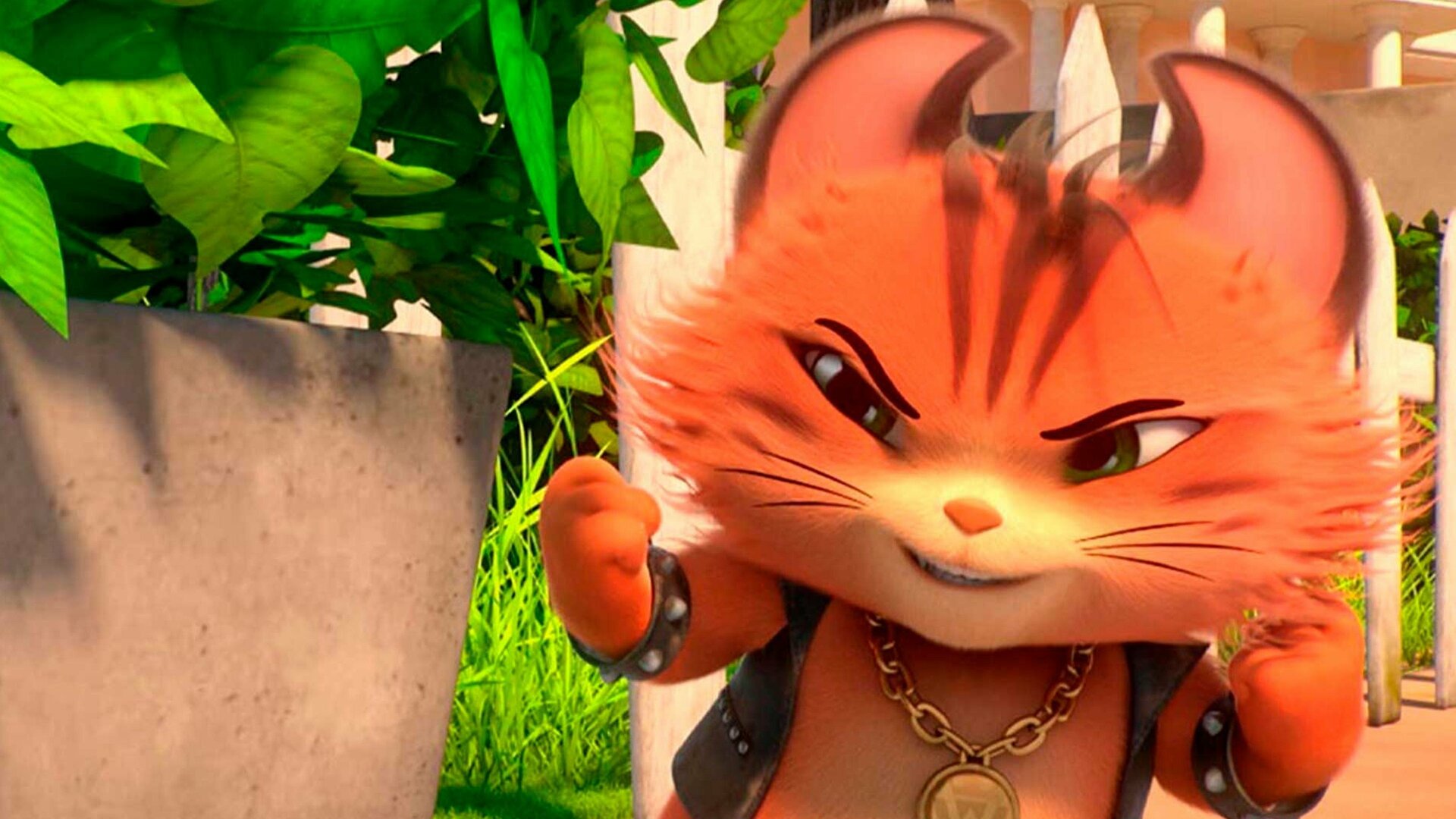 44 Gatos : Gatos Selvagens