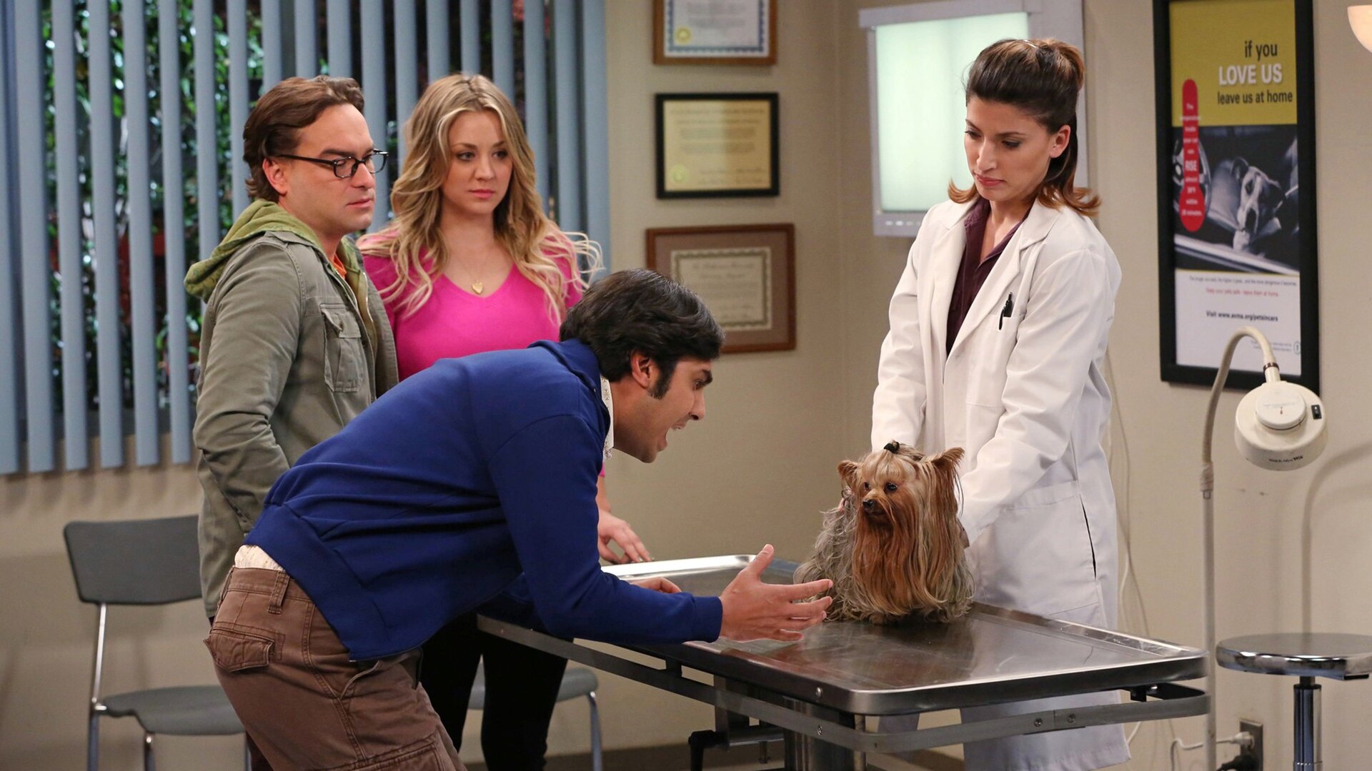 The Big Bang Theory : The Locomotive Manipulation