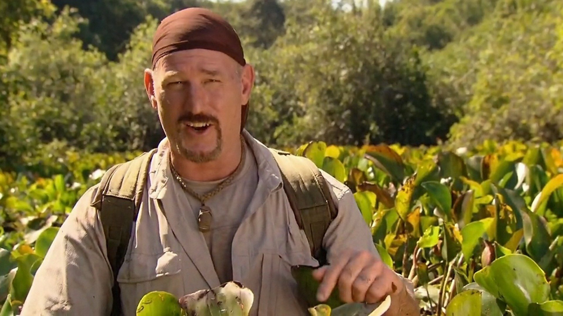 Desafio em Dose Dupla : Pantanal