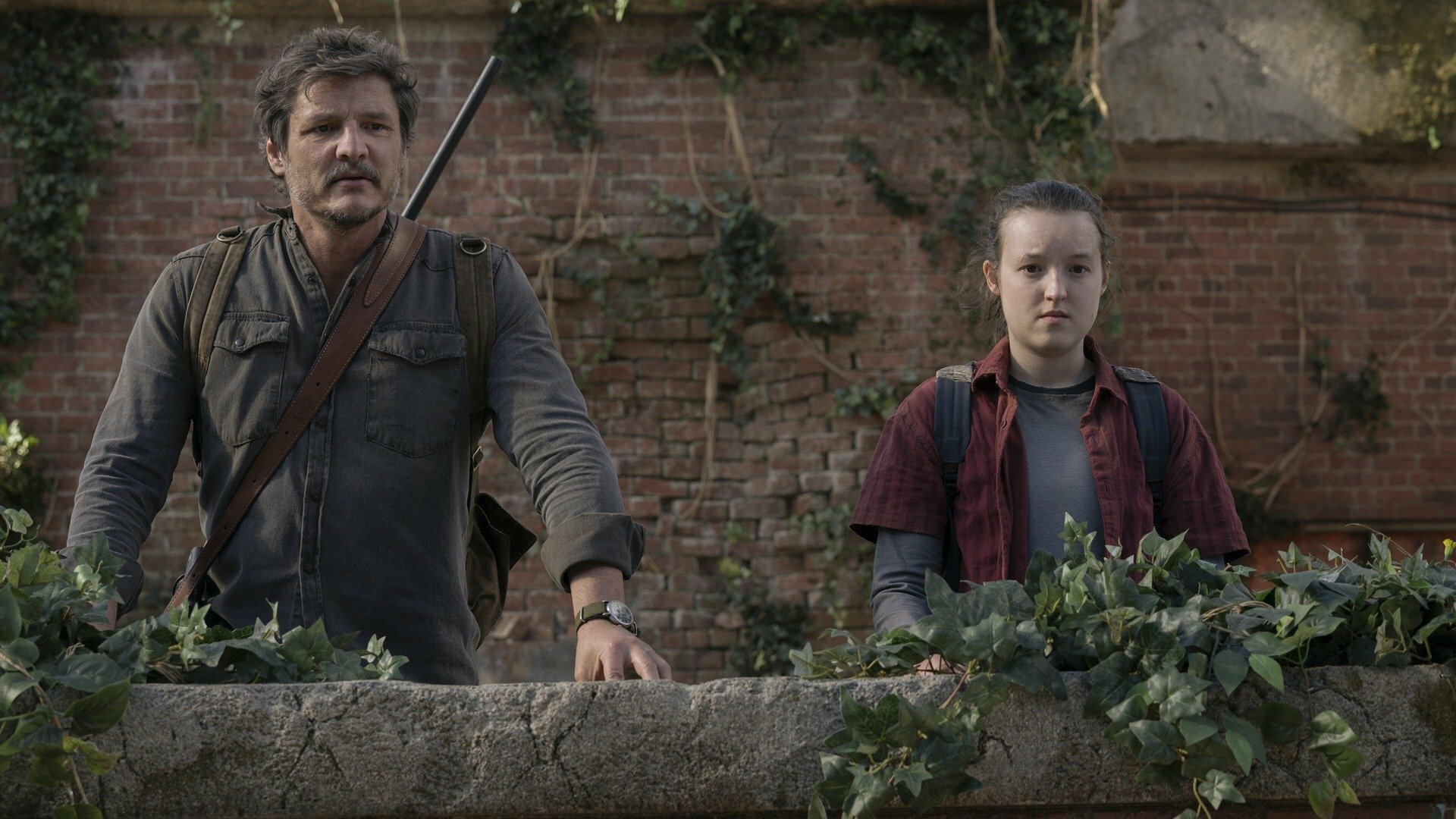 The Last of Us : Procure a Luz