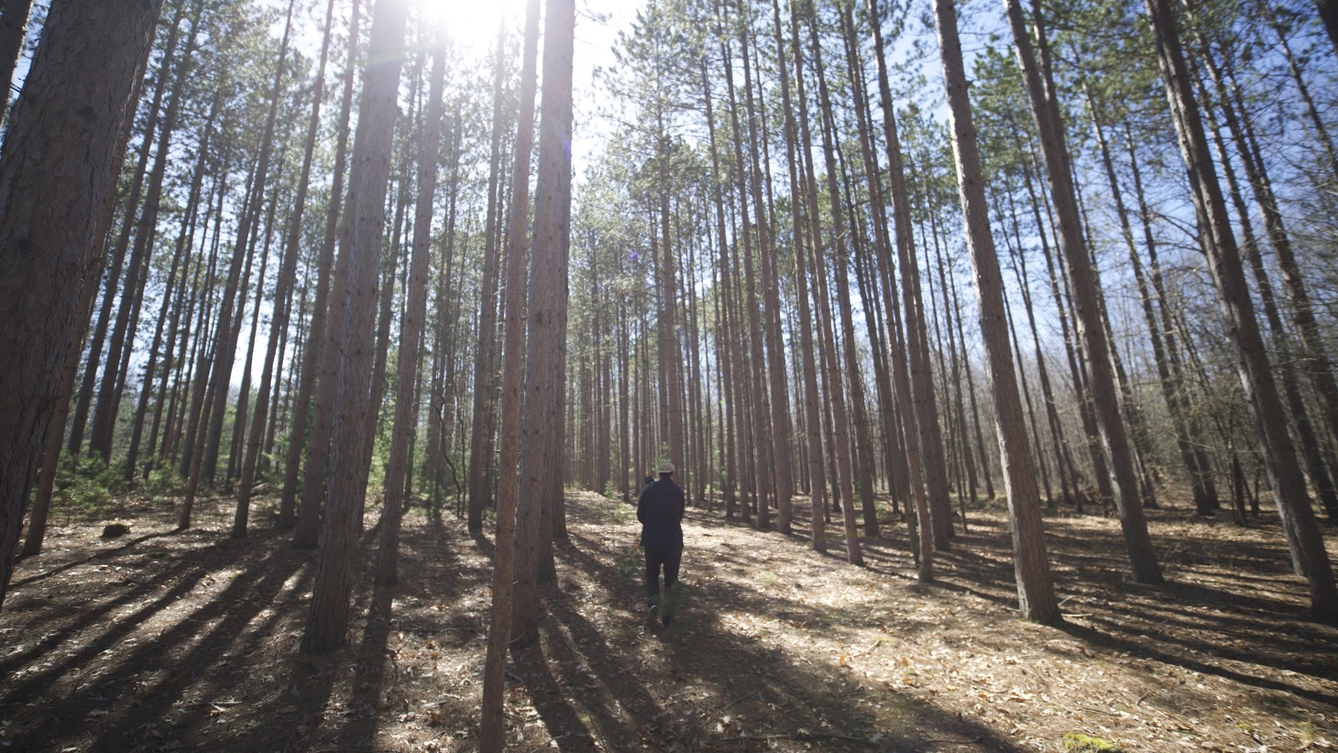 Crimes na Cabana : Cinco Dias no Inferno