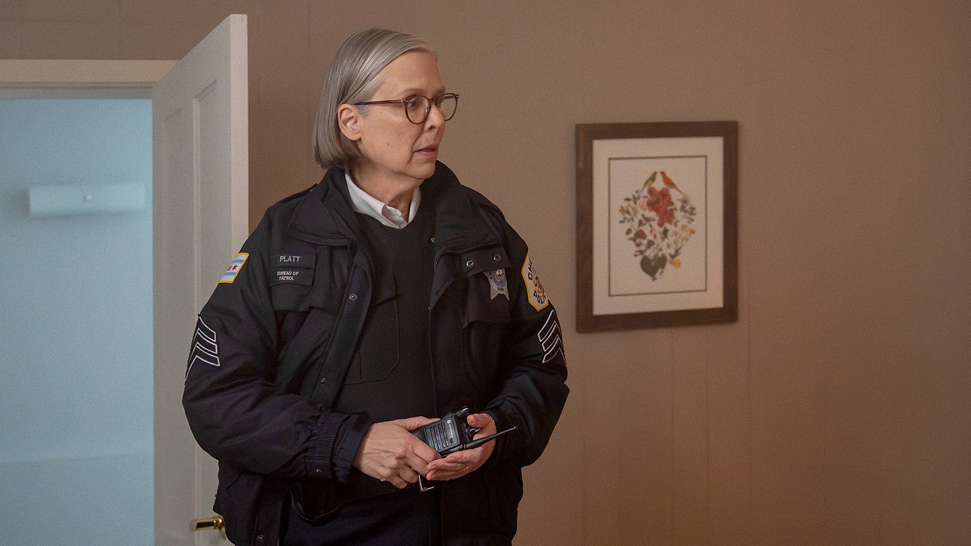 Chicago P.D. : Heróis