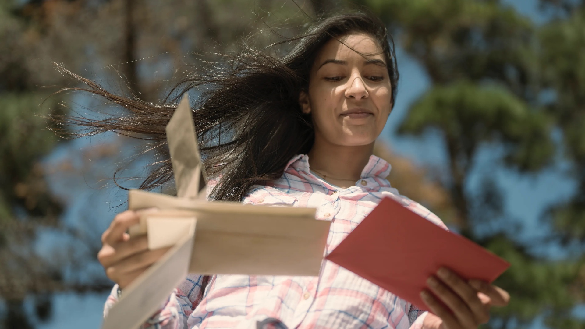 Lobo em Pele de Cordeiro : Ponto de Ebulição