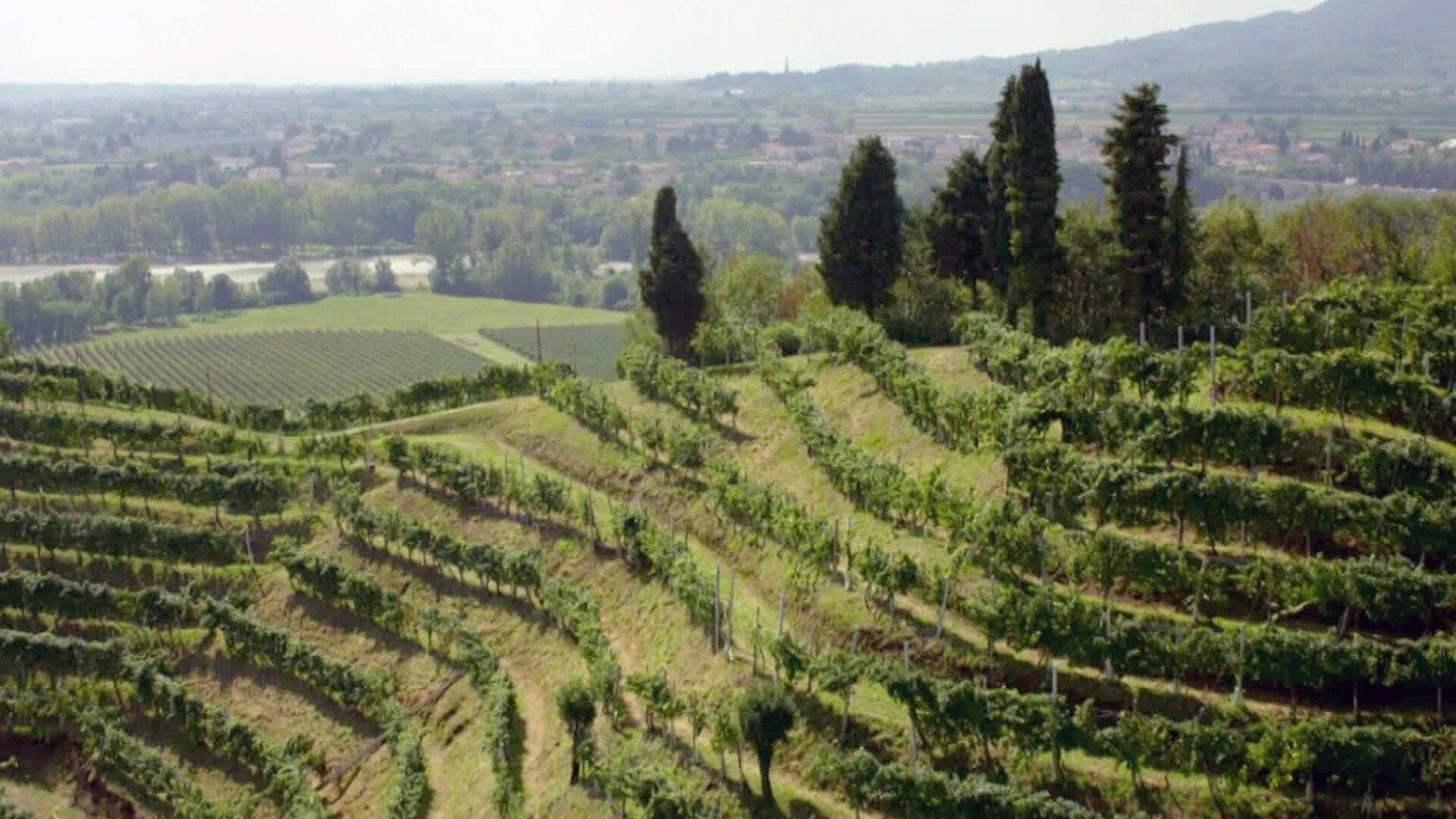 Vinícolas ao Redor do Mundo : Itália - Prosecco, Outra História de Veneza