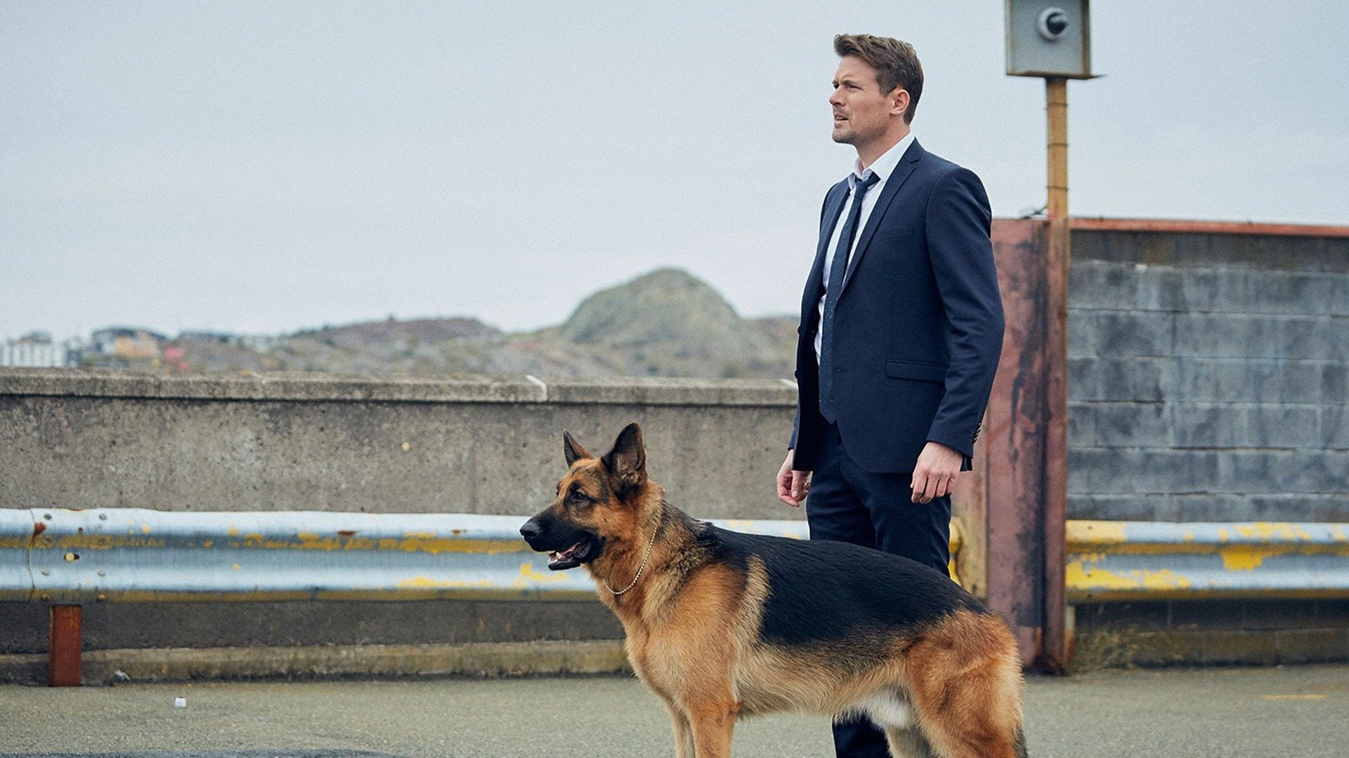 Hudson & Rex : The Hunt