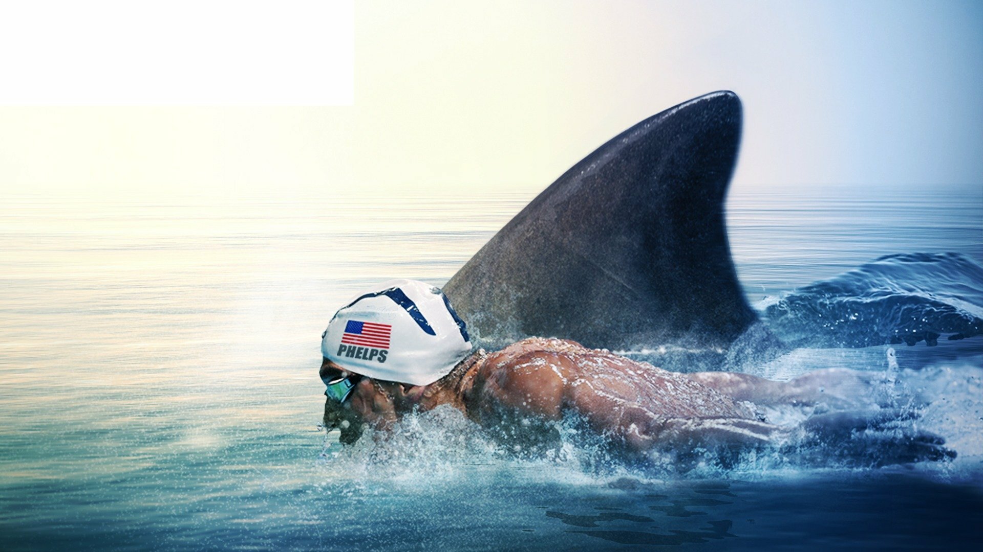 Phelps vs. Tubarões