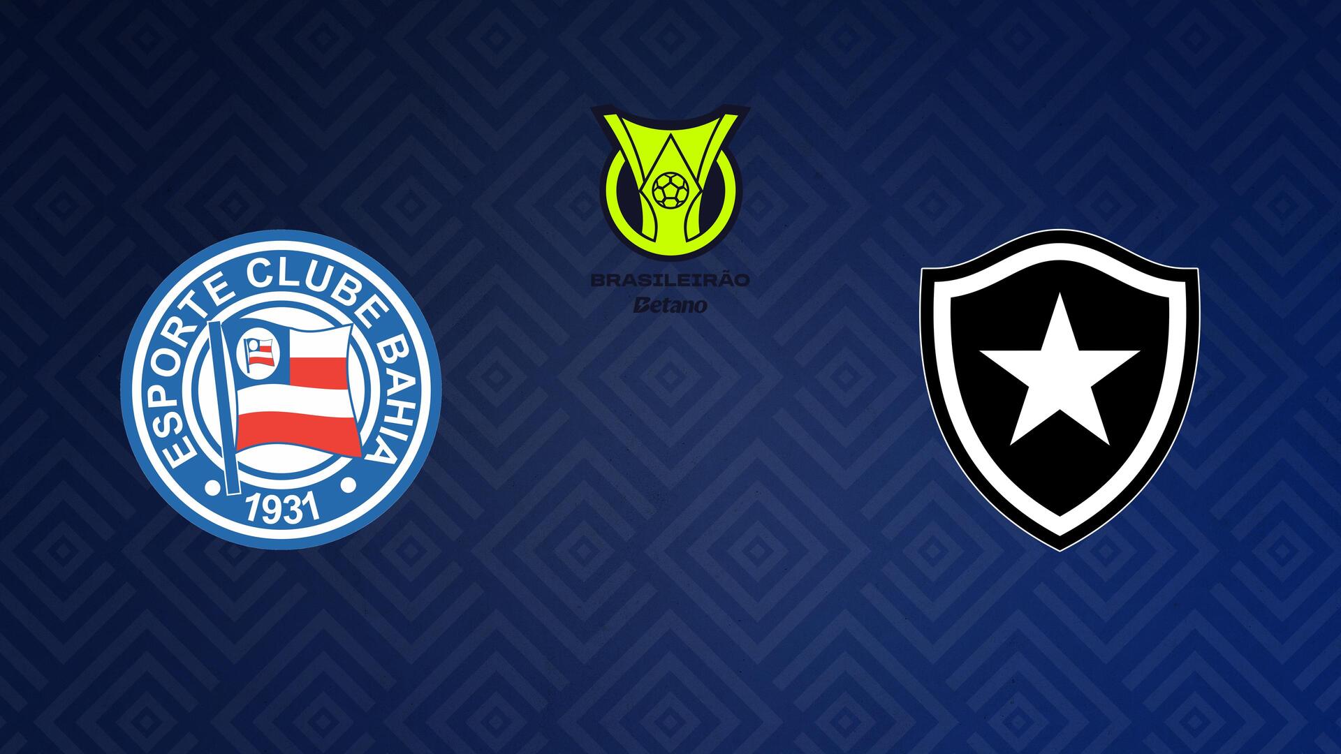 Bahia x Botafogo - Campeonato Brasileiro : Bahia x Botafogo