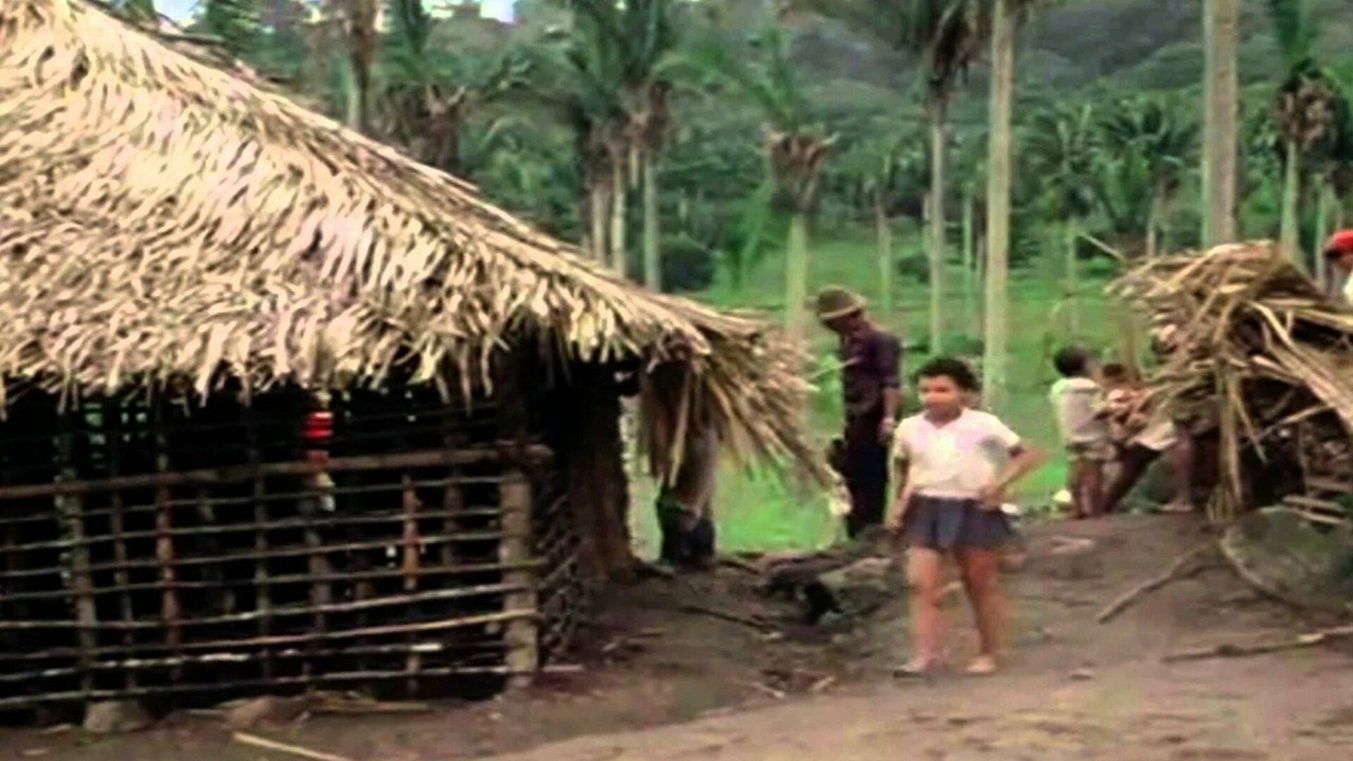 Habitar/Habitat : Casa Sertaneja