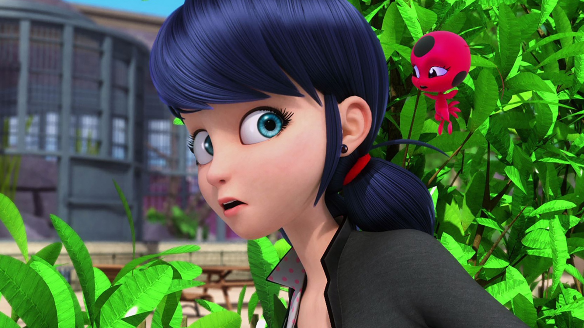 Miraculous - As Aventuras de Ladybug : Animan