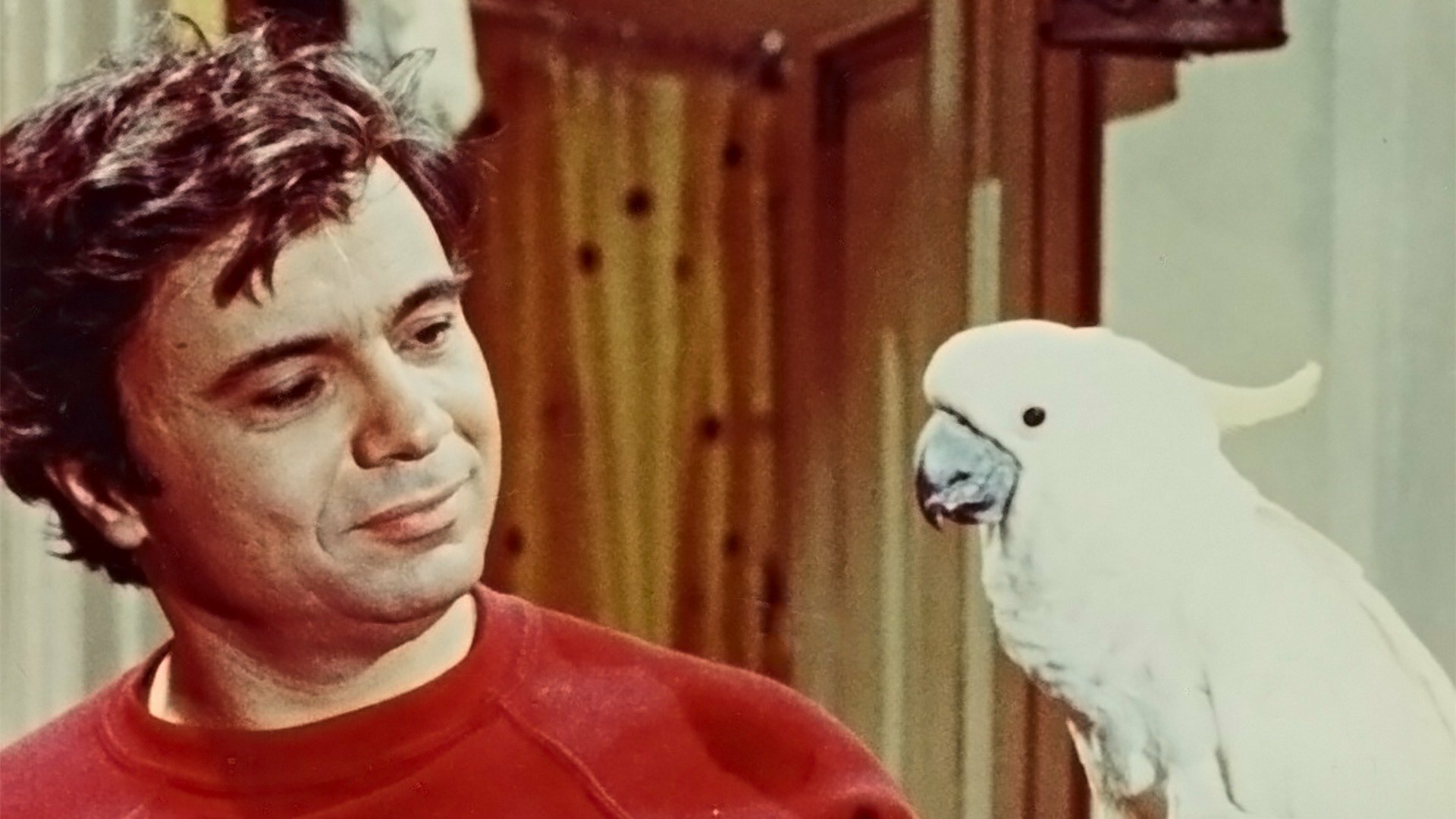 Baretta
