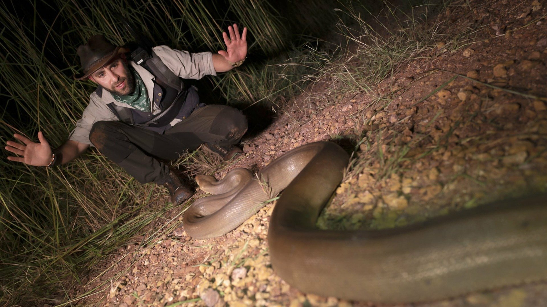 Encontro Selvagem com Coyote Peterson : A Píton Gigante