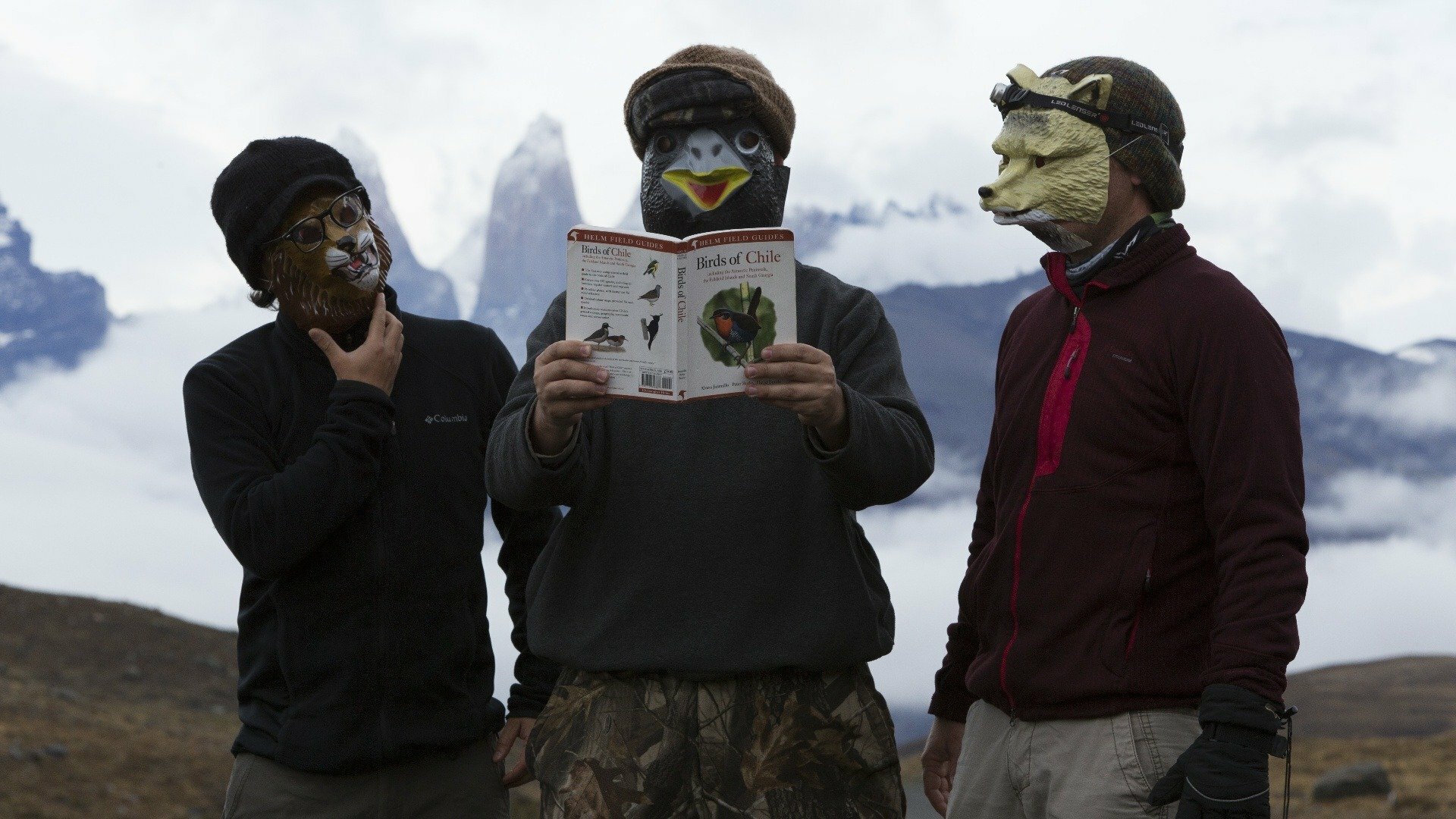 Patagônia Chilena - Em Busca do Puma Selvagem