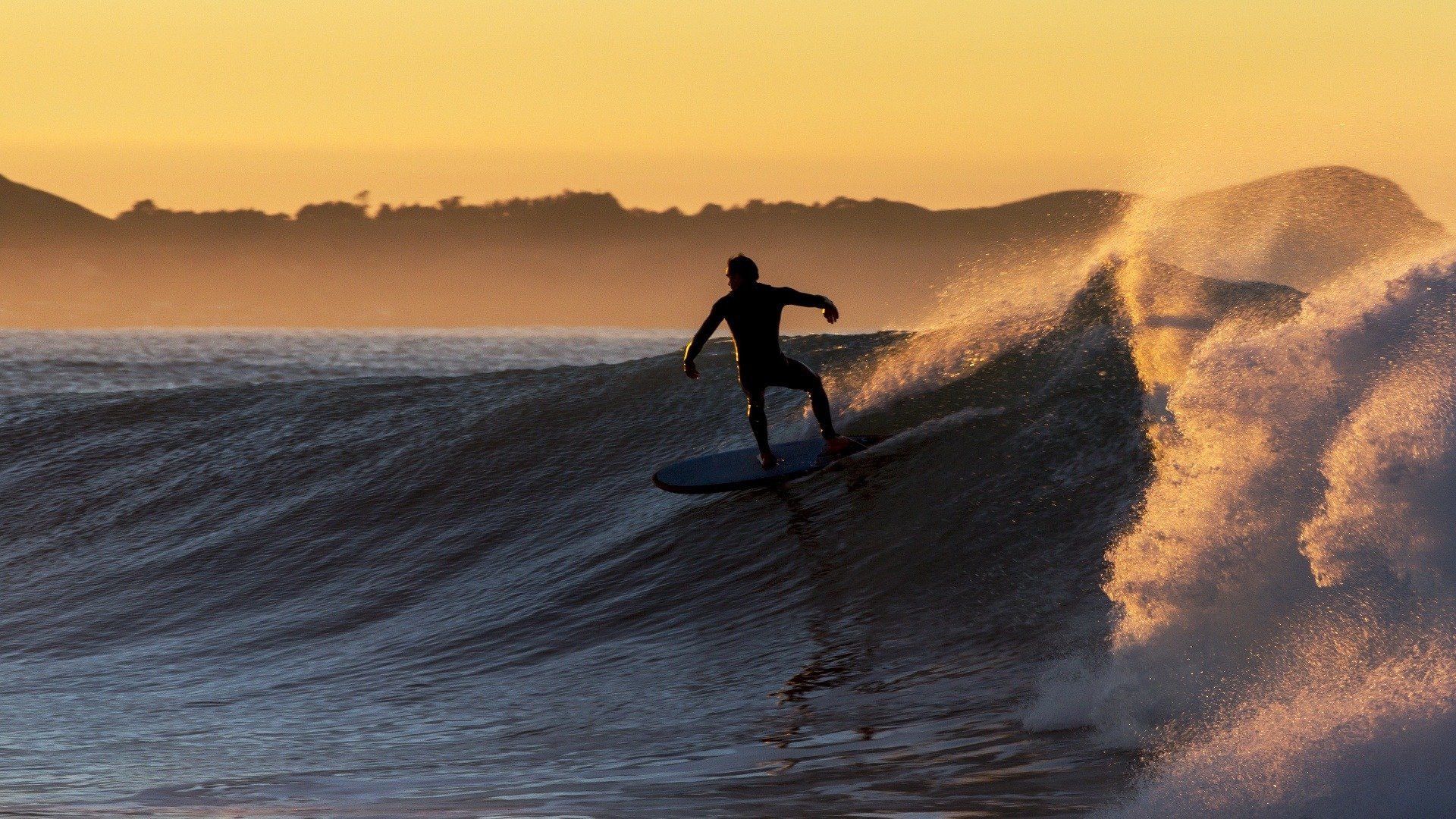 Surf Cia