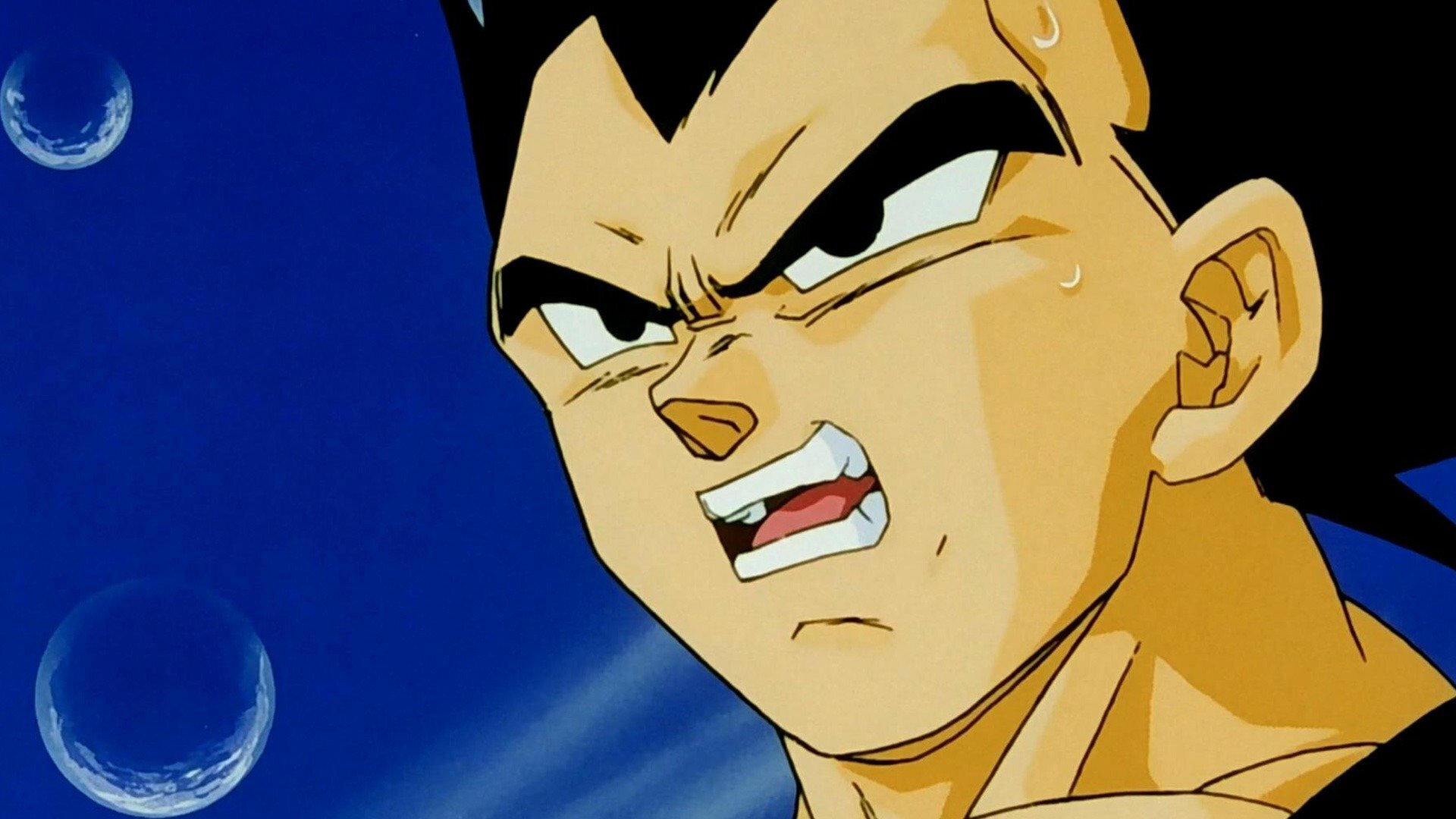 Dragon Ball Z : Minute of Desperation