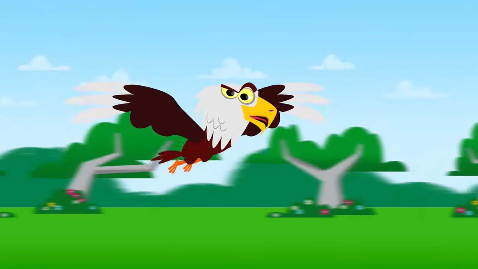Zooparky - Quem Sou Eu? : O Gavião