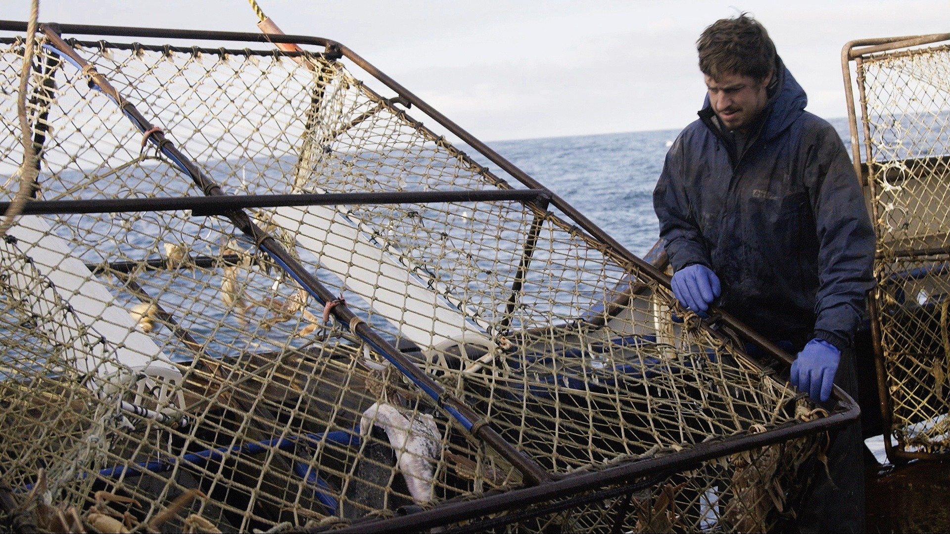 Pesca Mortal : Emaranhado